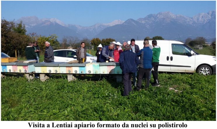 ASSISTENZA TECNICA IN APIARIO A LENTIAI (BL) e CASTELFRANCO (TV)
