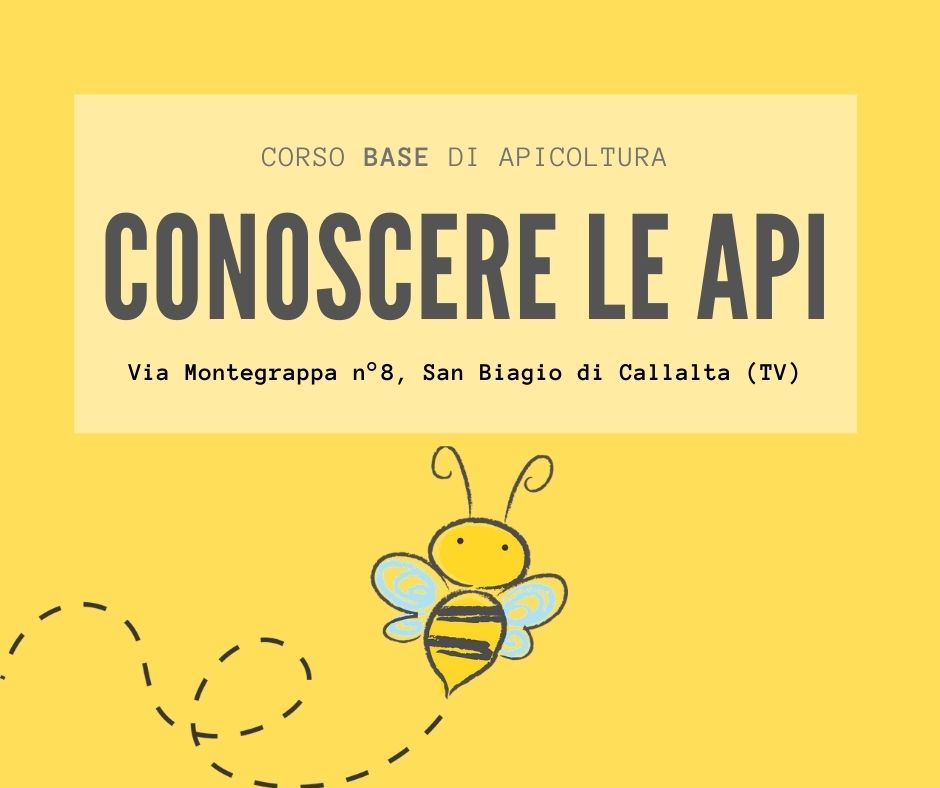 corso base di apicoltura “CONOSCERE LE API”