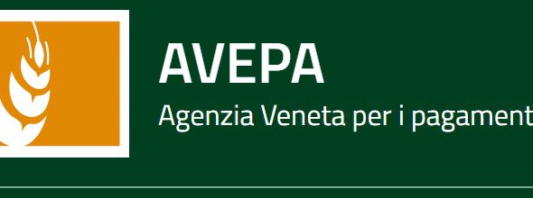 Liquidati i contributi 2023/2024