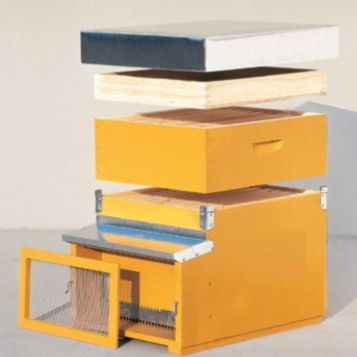 Arnia da 10 favi con portichetto in legno