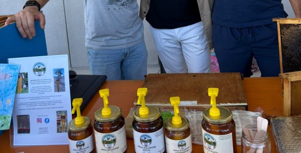 APIMARCA alla Festa della Mobilità di Marcon